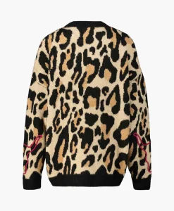 Outlet Pullover Knitted Jaguar Bruin Dames Truien
