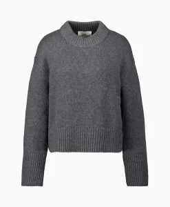Pullover Sony Grijs Dames Truien
