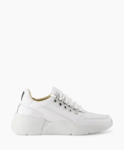 Hot Sneaker Roque Roman Wit Heren Sneakers