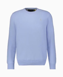 Pullover Cotton Long Sleeve Licht Blauw Heren Truien