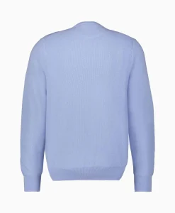 Pullover Cotton Long Sleeve Licht Blauw Heren Truien