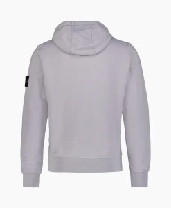 Outlet Hoodie 64151 Grijs Heren Truien